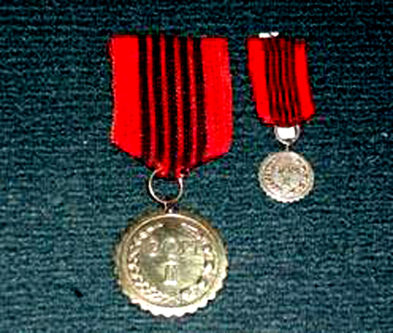 Bintang Satyalancana GOM II 1