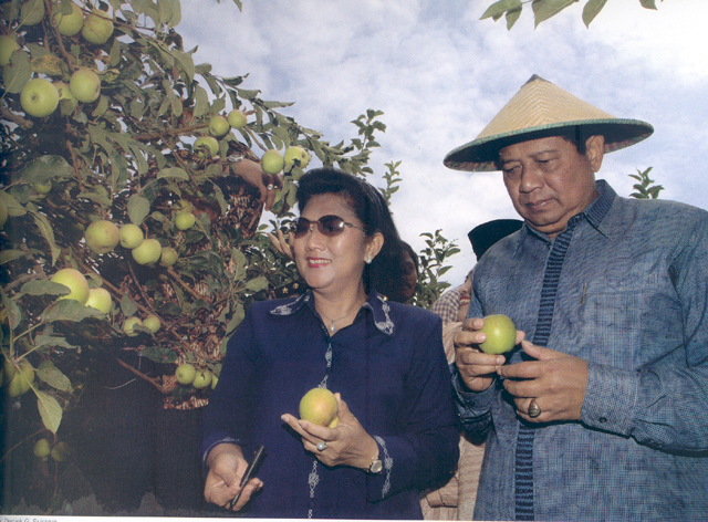 Presiden Susilo Bambang Yudhoyono dan Ibu Ani Yudhoyono di perkebunan apel